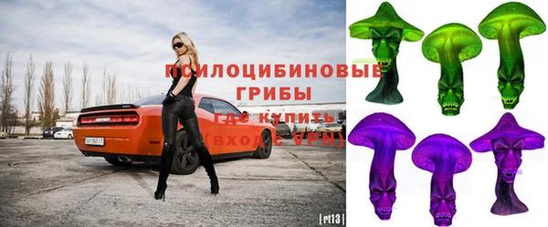 PSILOCYBIN Козельск