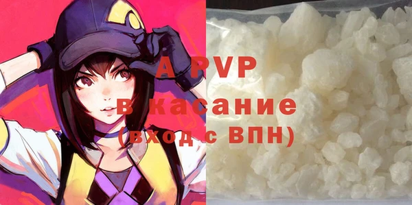 PSILOCYBIN Козельск