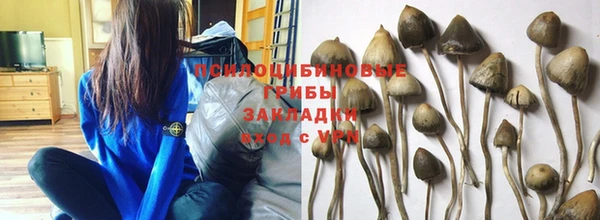 PSILOCYBIN Козельск