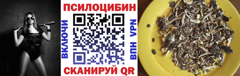 купить наркотики цена  Клин  omg зеркало  Псилоцибиновые грибы мухоморы 