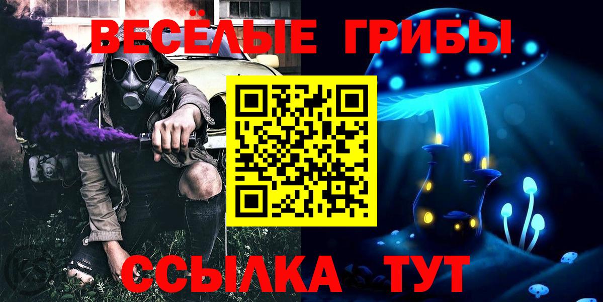 Псилоцибиновые грибы Psilocybine cubensis Клин