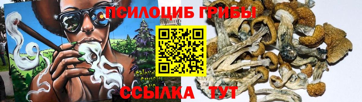 Галлюциногенные грибы Psilocybine cubensis  Галлюциногенные грибы прущие грибы  где купить наркотик  Клин  Вход с VPN 